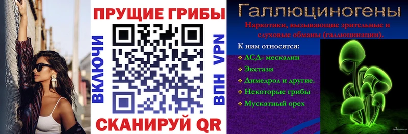 Галлюциногенные грибы Magic Shrooms  Ачинск 