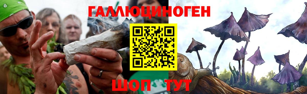 Псилоцибиновые грибы Psilocybine cubensis  Псилоцибиновые грибы мухоморы  Вход с VPN  Ачинск 